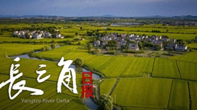 开云体育-“苏超”赛场“气晕”的小恐龙有IP文创了